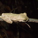 Square