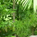 Square