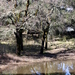Square