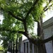 Square