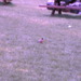 Square