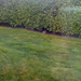 Square