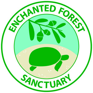 enchantedforestsanctuary