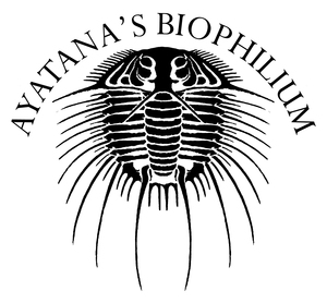 ayatana_biophilium