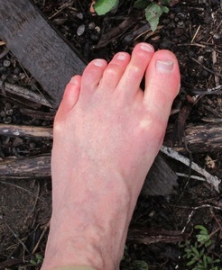 barefootmark