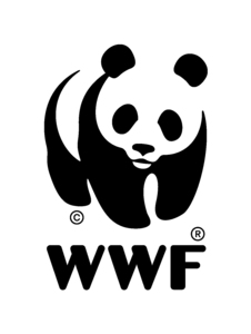wwfeh2019group2