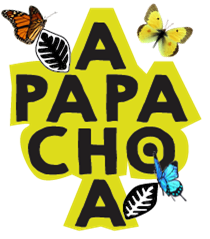 apapachoa