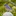 wcheng95