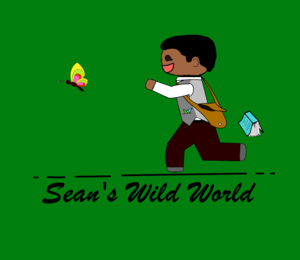 seans_wild_world