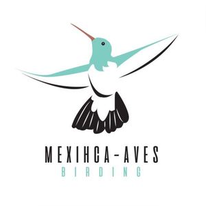mexihca_aves