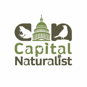 capitalnaturalistl