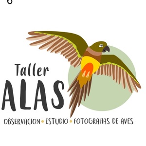 taller_alas