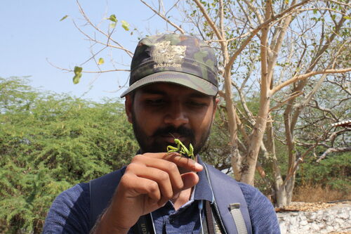 jay_pandya's Profile · iNaturalist
