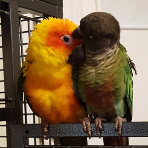 eddieaul의 프로필 · iNaturalist eddieaul의 프로필