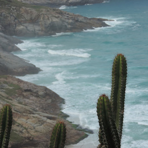 amparootegui