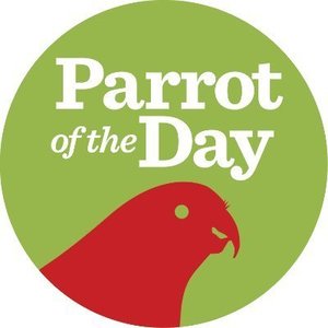 parrotoftheday