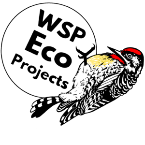 wspecoprojects