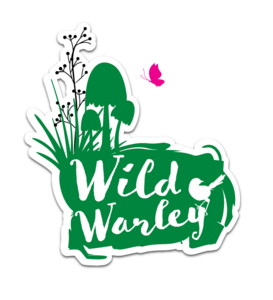 wildwarley