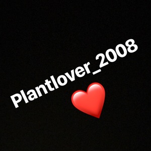 plantlover_2008