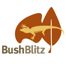 bushblitz