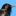 saltwellsbirder