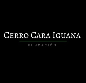 cerro_cara_iguana