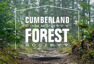 cumberland_forest