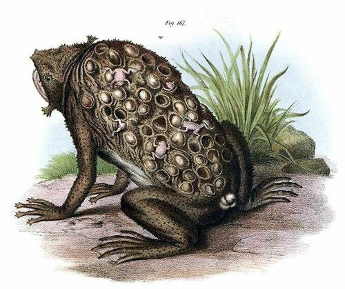 xantis's Profile · iNaturalist