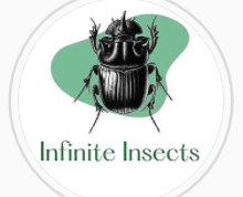 infiniteinsects