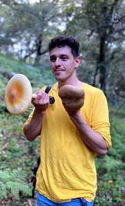 mushroomanny
