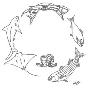 sercfisheries