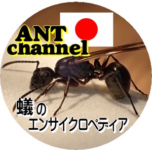 ant_encyclopedia