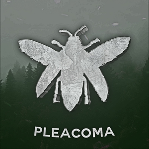 pleocoma
