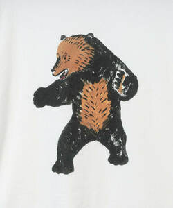 bears-101