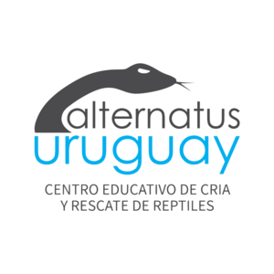 alternatus_uruguay