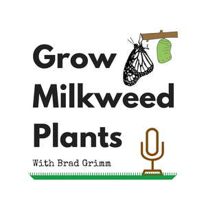 growmilkweedplants