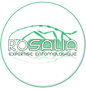 rosalia-expertise