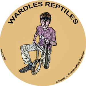 wardlesreptiles