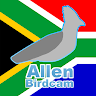 allen_birdcam