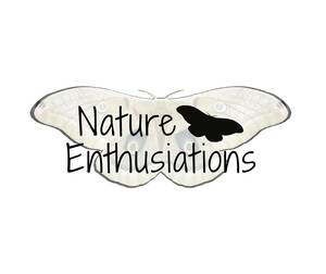 nature_enthusiations