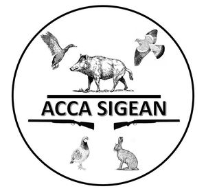 accasigean