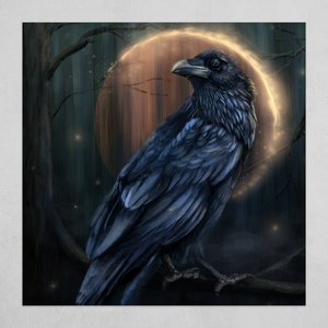 ravenbird
