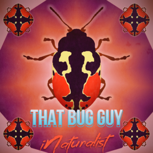 that_bug_guy