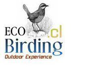 ecobirding