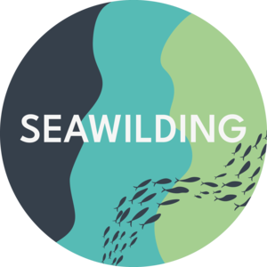 eric_seawilding