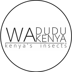 waduduwakenya
