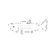 salmon0413