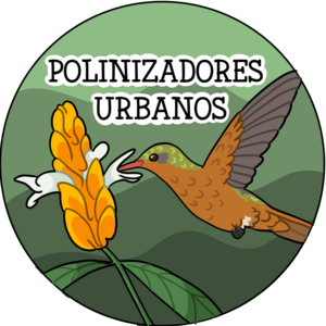 polinizadoresurbanos06