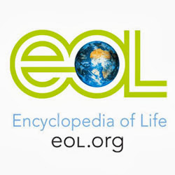 encyclopediaoflife