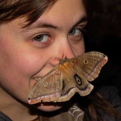 radical_mouse's Profile · iNaturalist